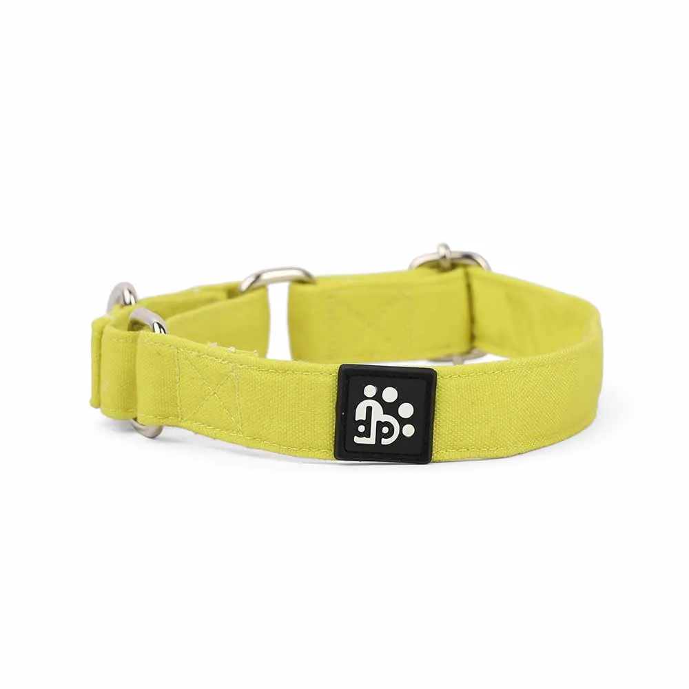 Dear Pet Classic Martingale Lime Dog Collar