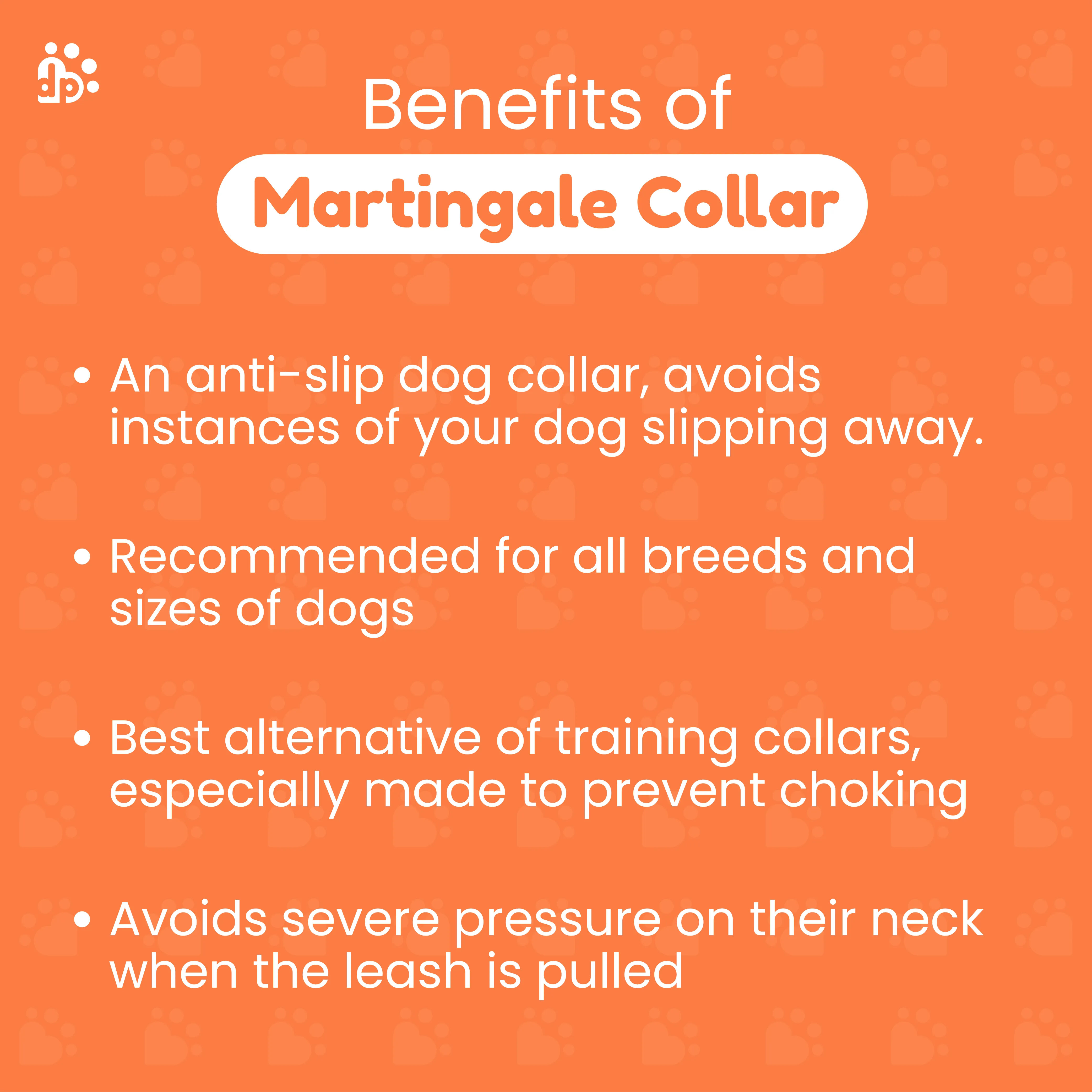 Dear Pet Classic Martingale Orange Dog Collar