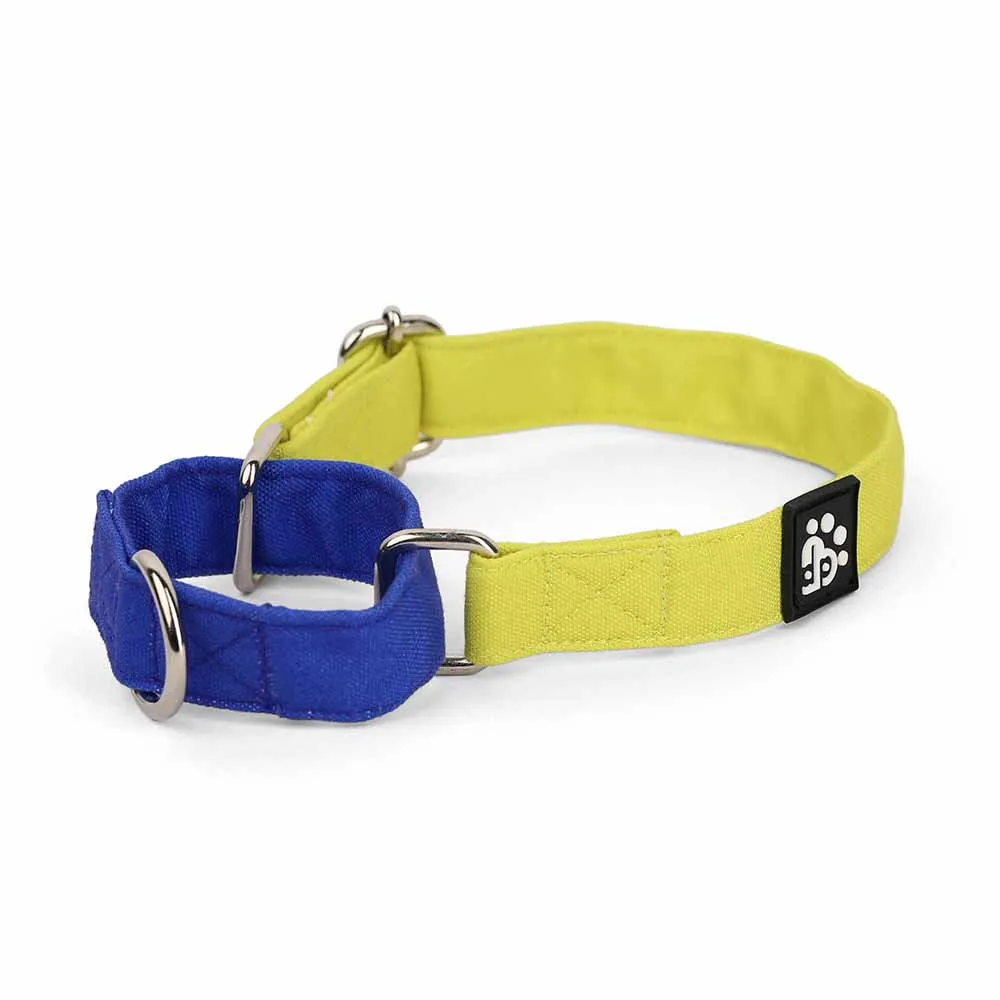 Dear Pet Double Trouble Martingale Lime & Blue Dog Collar