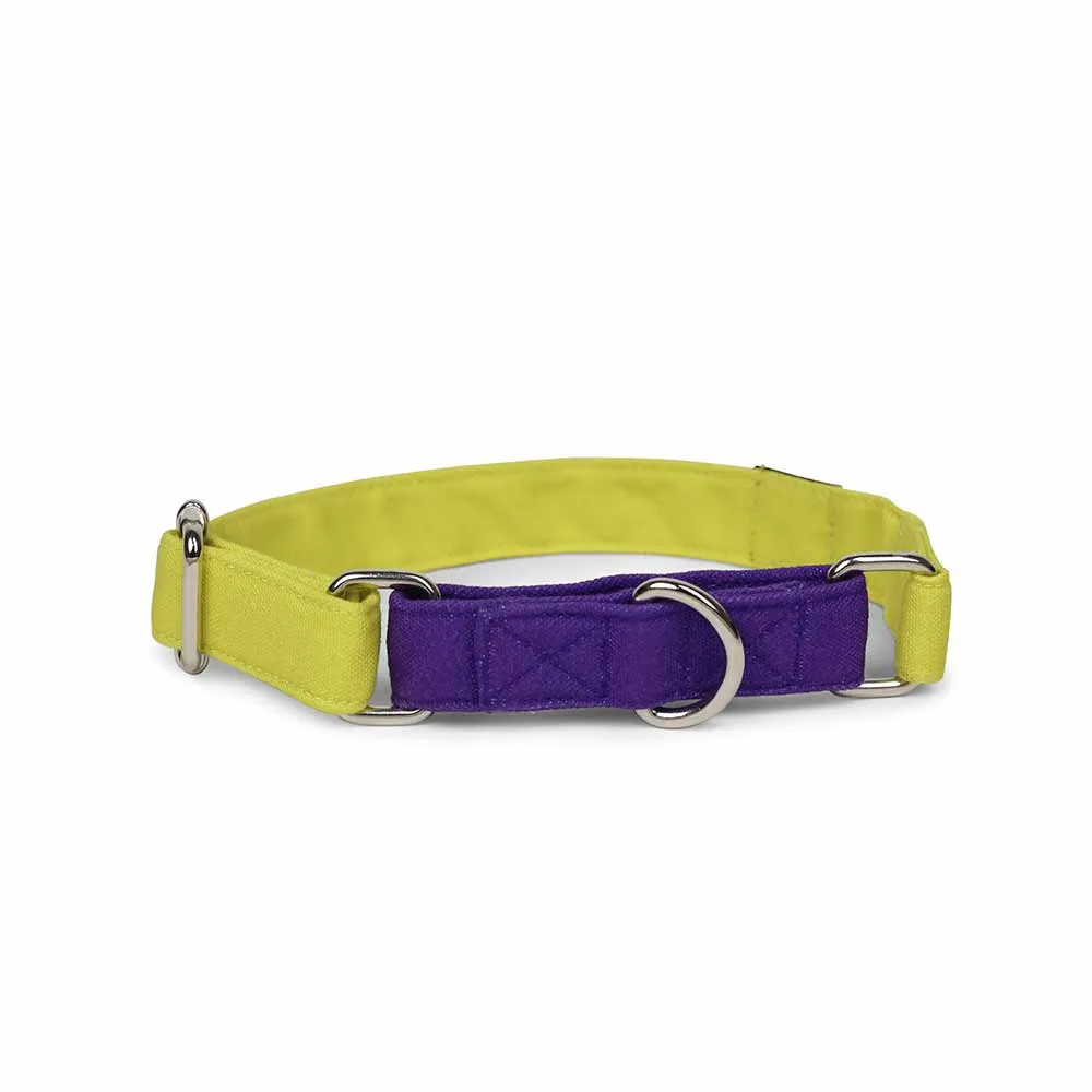 Dear Pet Double Trouble Martingale Lime & Purple Dog Collar