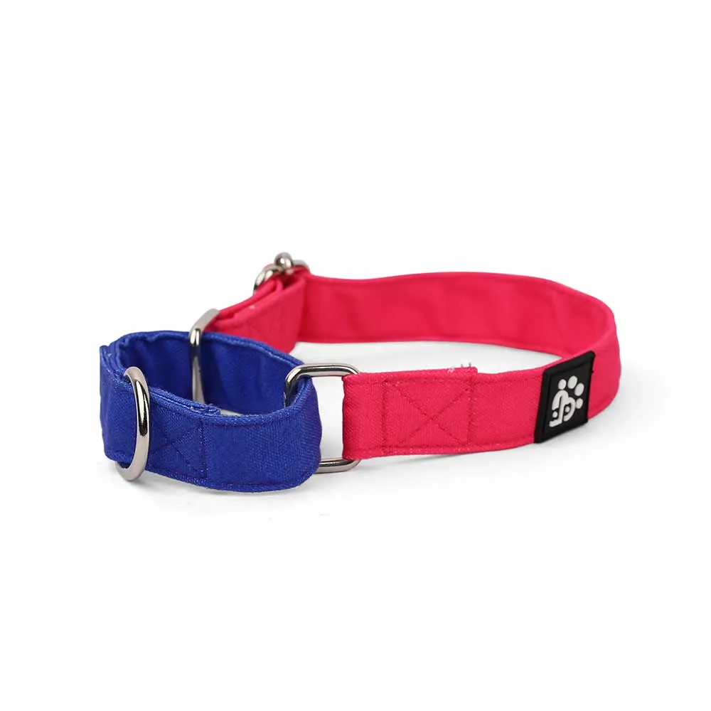 Dear Pet Double Trouble Martingale Pink & Blue Dog Collar