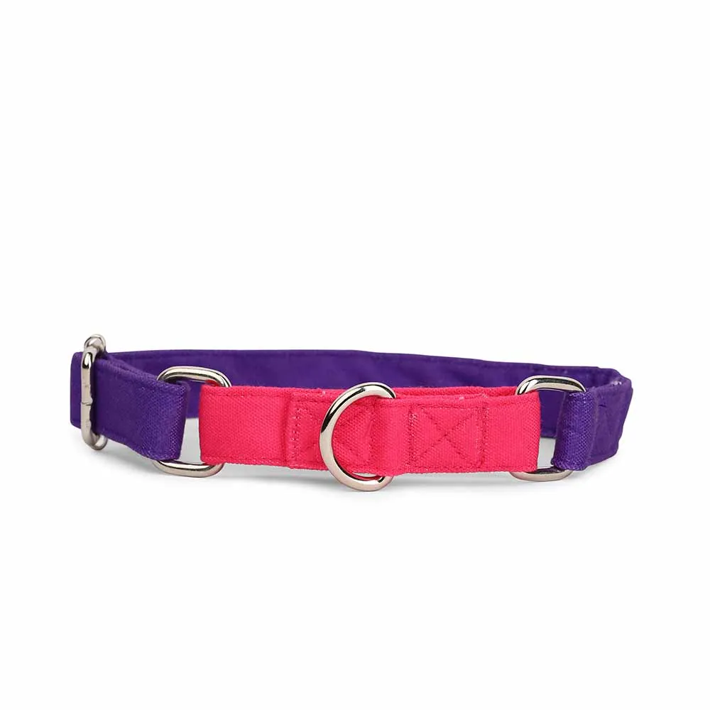 Dear Pet Double Trouble Martingale Purple & Pink Dog Collar