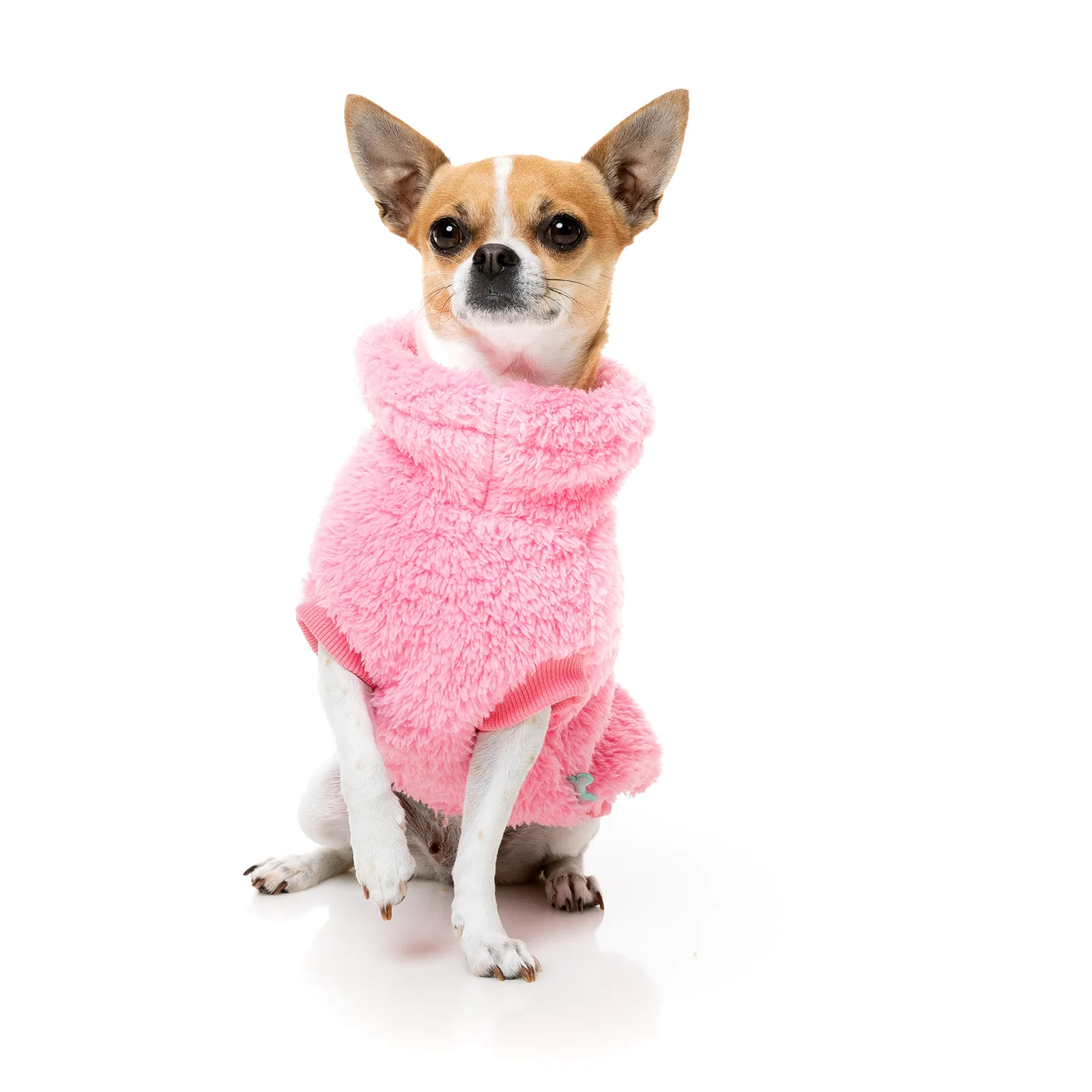 FuzzYard Dog Coat Turtle Teddy Sweater