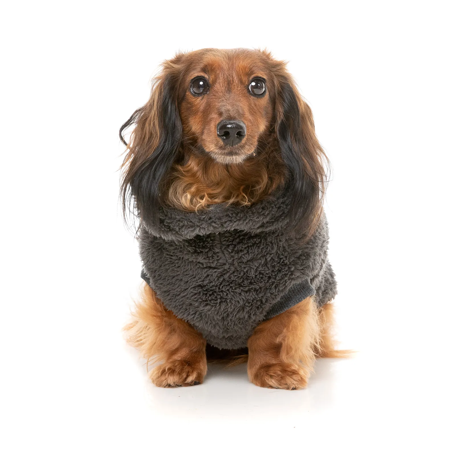 FuzzYard Dog Coat Turtle Teddy Sweater