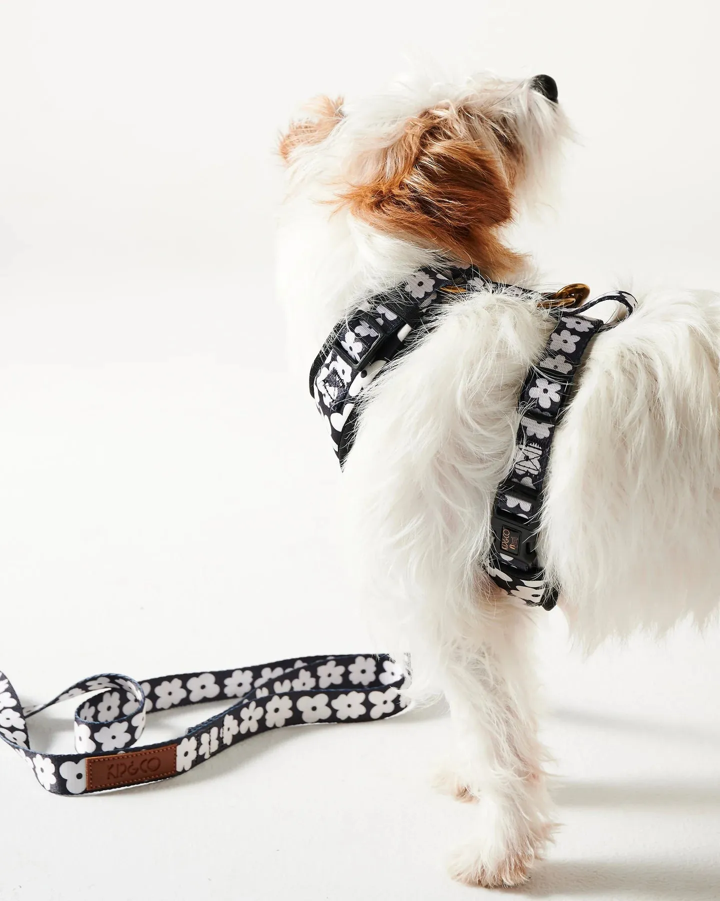 Kip & Co Flower Face Dog Harness