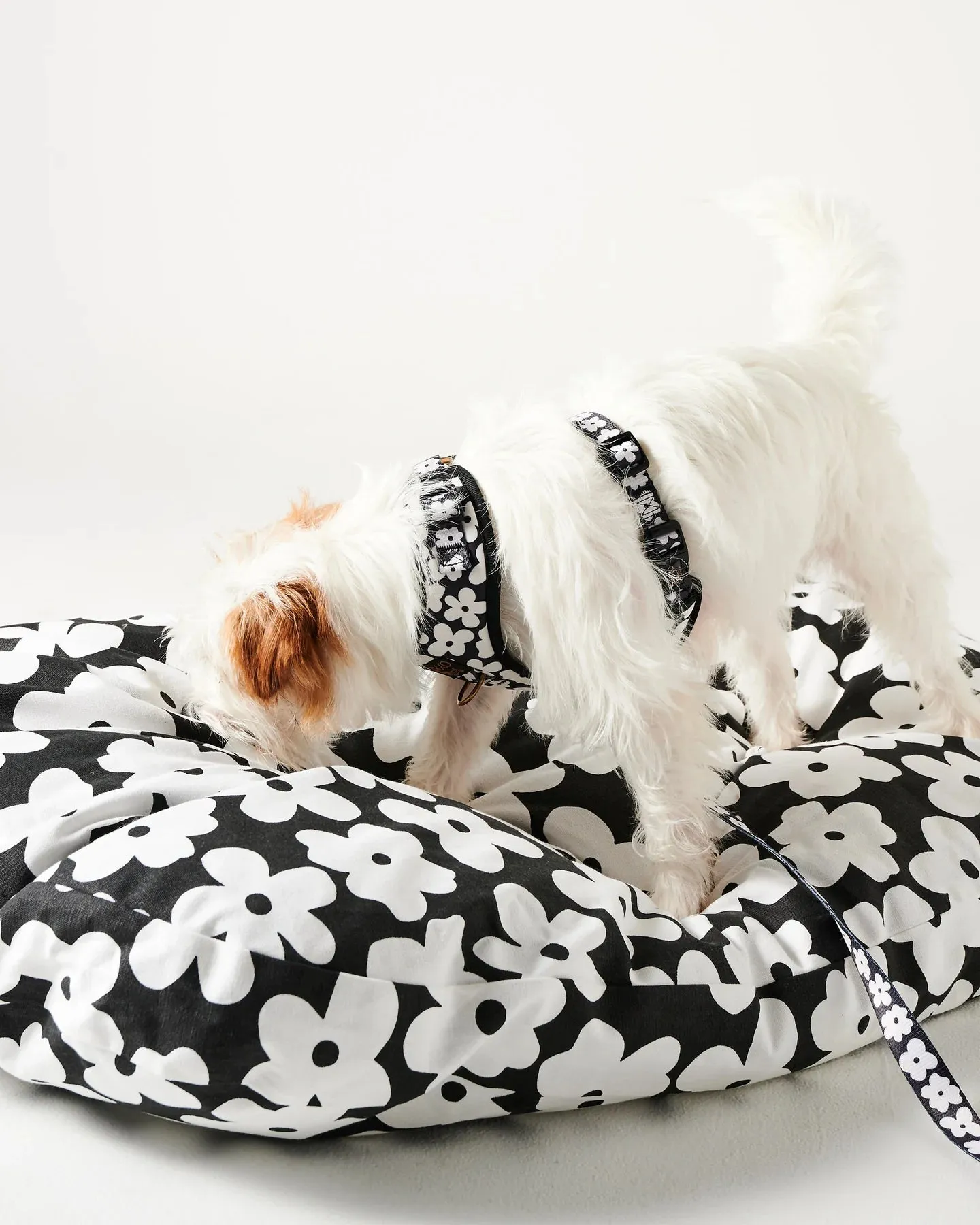 Kip & Co Flower Face Dog Harness