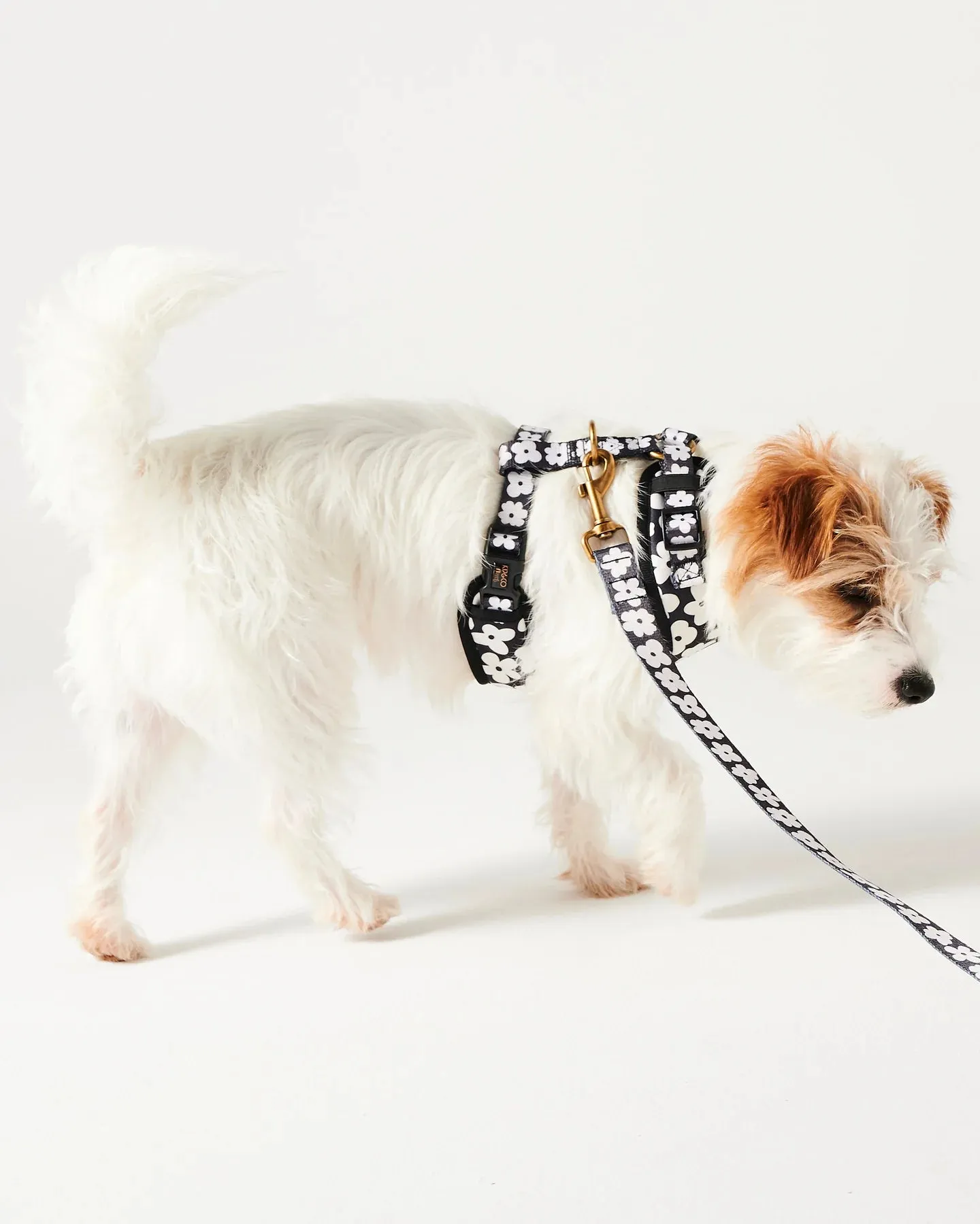 Kip & Co Flower Face Dog Harness