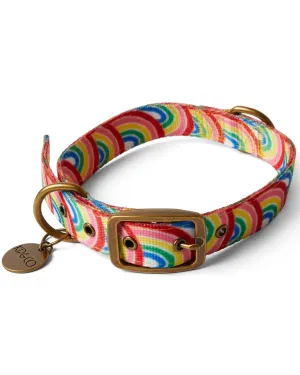 Kip & Co Rainbow Spray Dog Collar