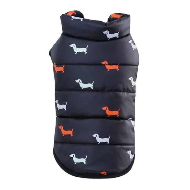 Milo Dachshund Jacket